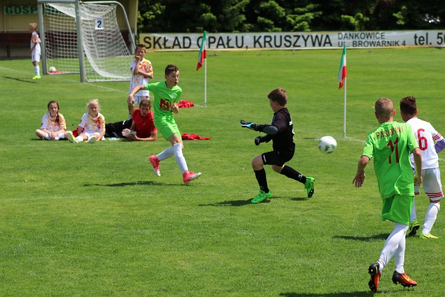 适应与突破 适应与突破