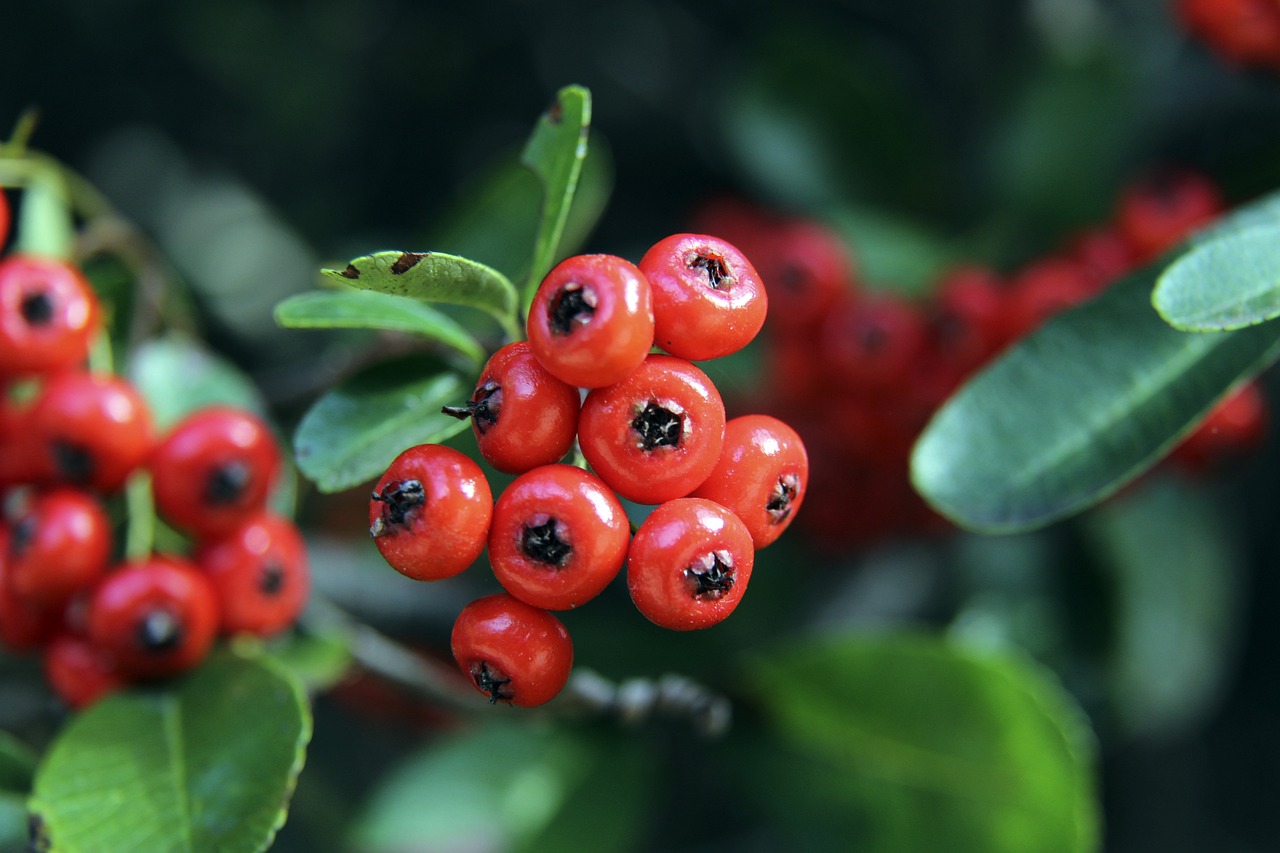 史中并非孤 史中并非孤