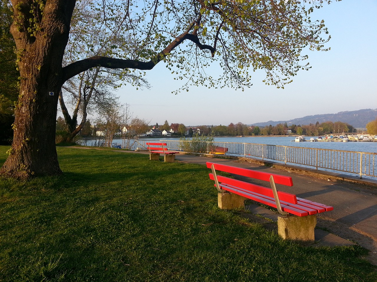 斗争也不乏 斗争也不乏